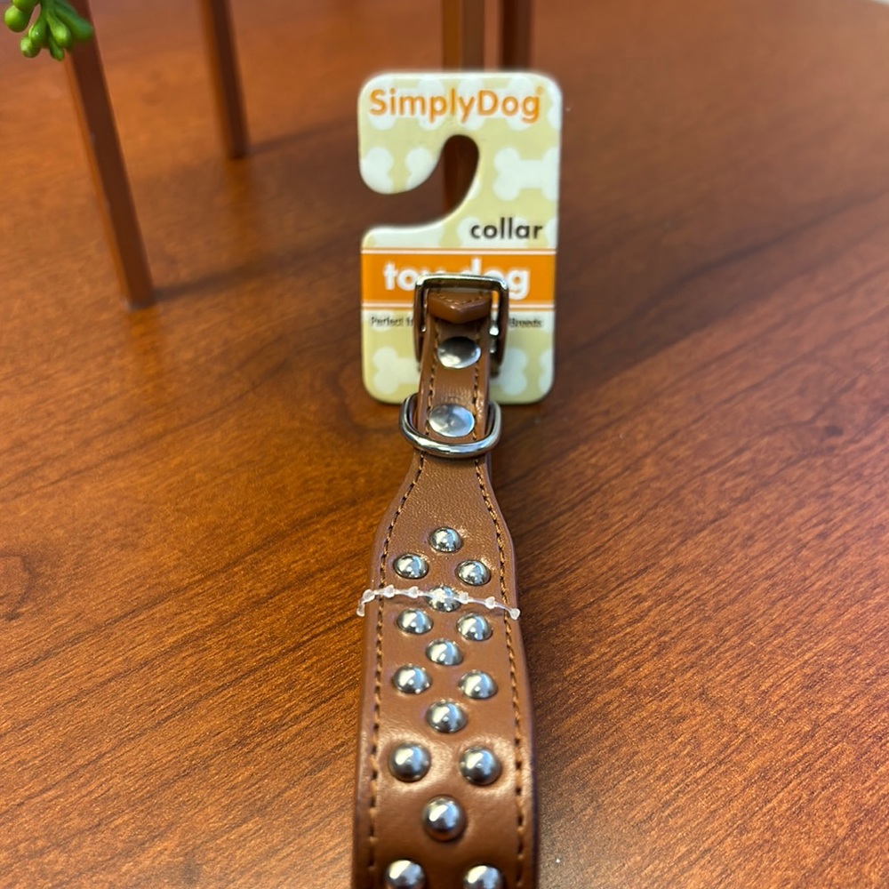 New dog collar